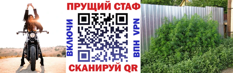 Где продают наркотики Реж COCAIN  hydra ссылки  ГАШ  Псилоцибиновые грибы  Кетамин  Мефедрон  Alpha-PVP 