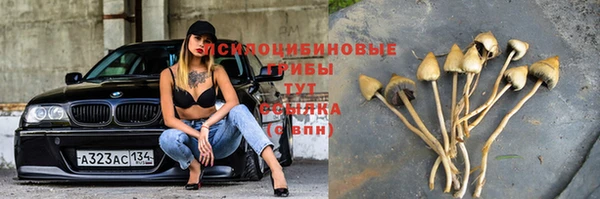 МДПВ Белокуриха